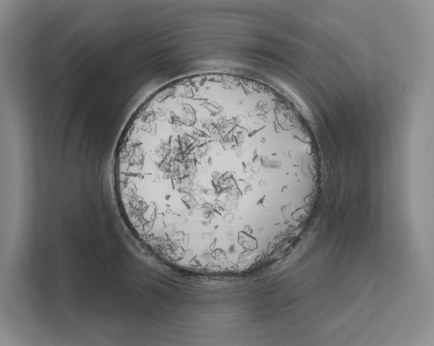 X0000111180899200907291141