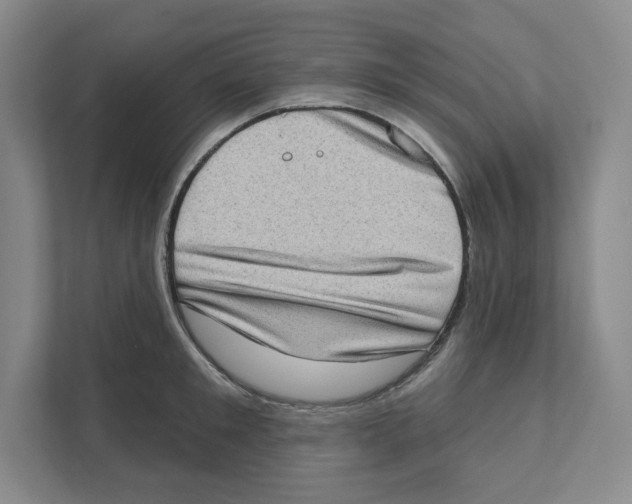 X0000111180901200907291141