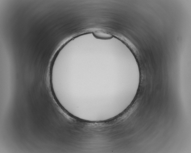 X0000111180902200907291141