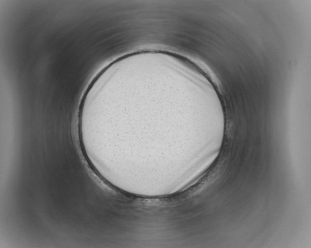 X0000111180903200907291141