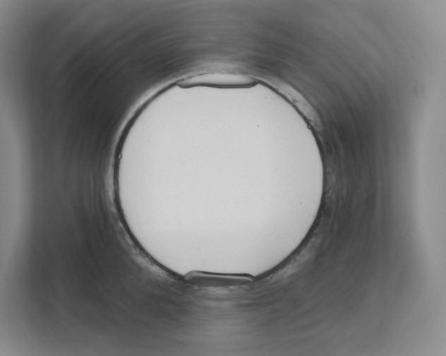 X0000111180904200907291141