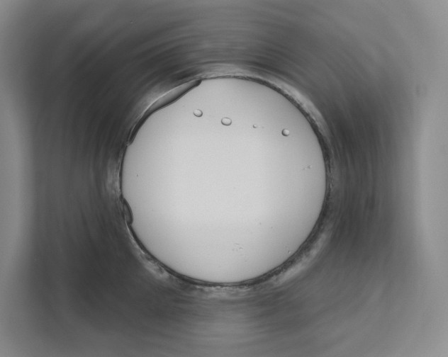 X0000111180905200907291141