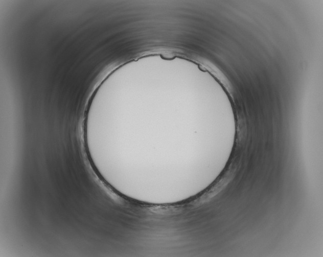 X0000111180906200907291141