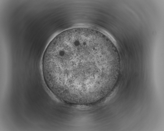 X0000111180907200907291141