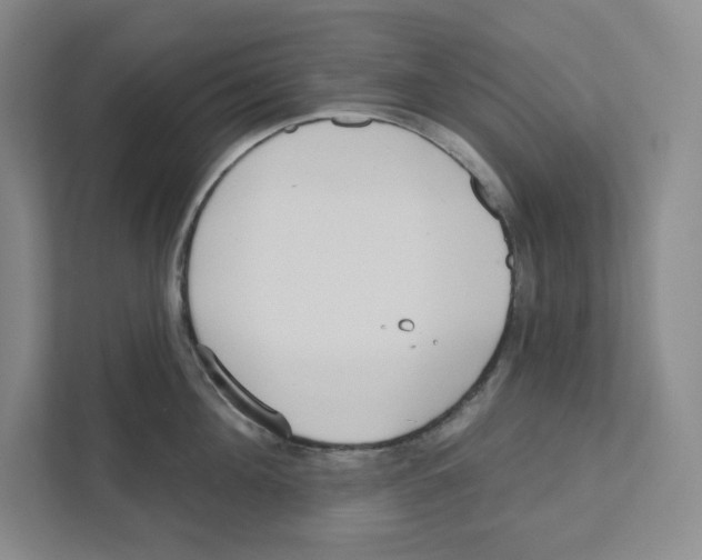 X0000111180908200907291141