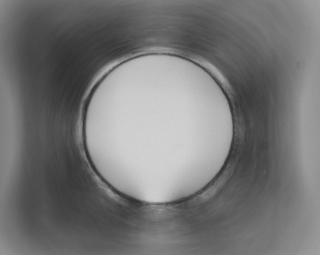 X0000111180910200907291141