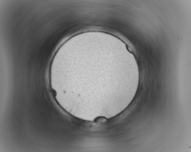 X0000111180911200907291141