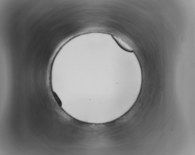 X0000111180912200907291141