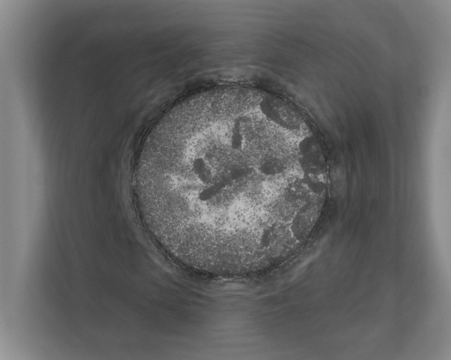 X0000111180913200907291140