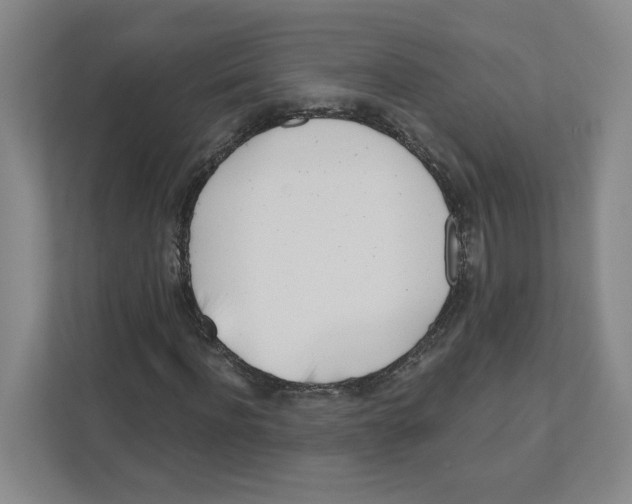 X0000111180916200907291140