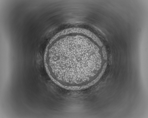 X0000111180917200907291140