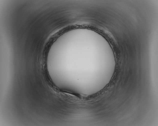 X0000111180920200907291140