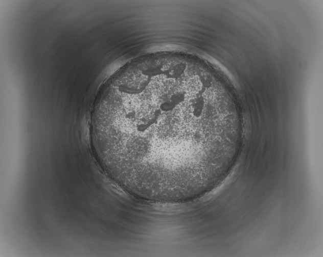 X0000111180921200907291140