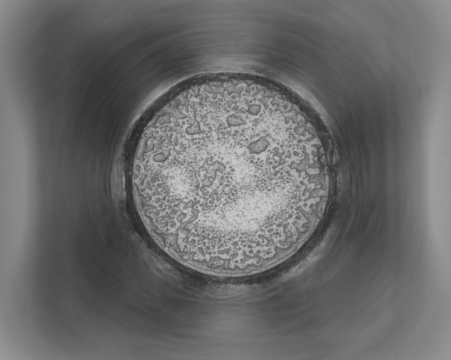 X0000111180925200907291140