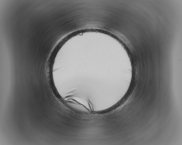 X0000111180926200907291140