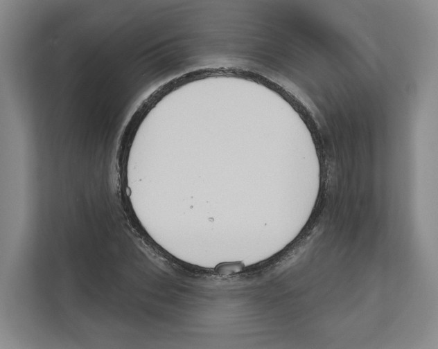 X0000111180927200907291140