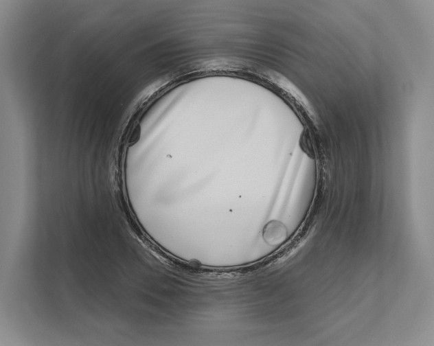 X0000111180930200907291140