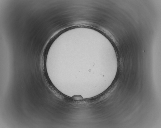 X0000111180931200907291140