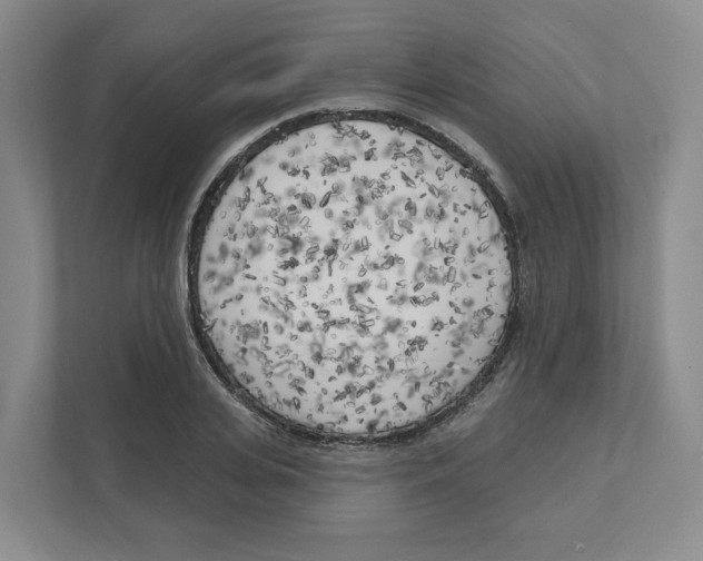 X0000111180935200907291140