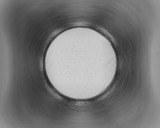 X0000111180938200907291140