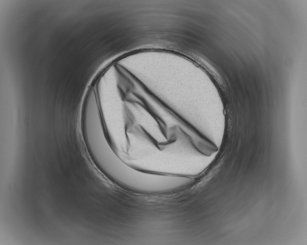 X0000111180940200907291140