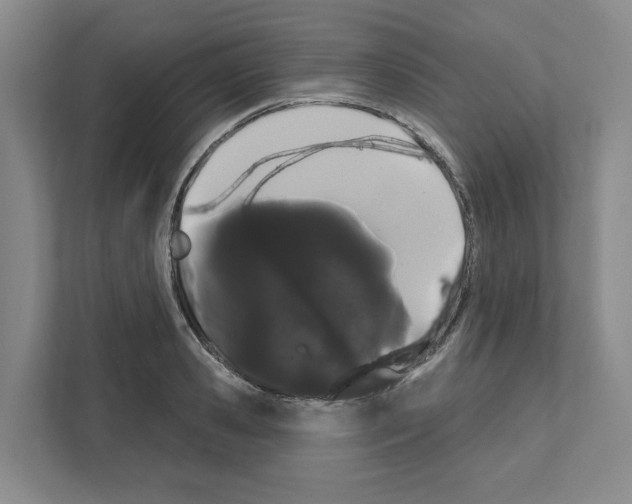 X0000111180941200907291140