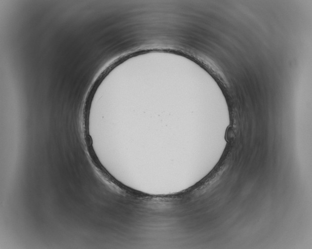 X0000111180942200907291140