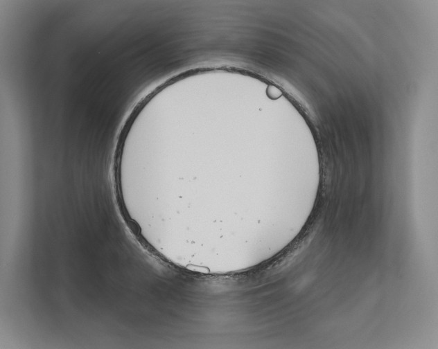 X0000111180943200907291140