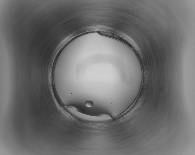 X0000111180946200907291140