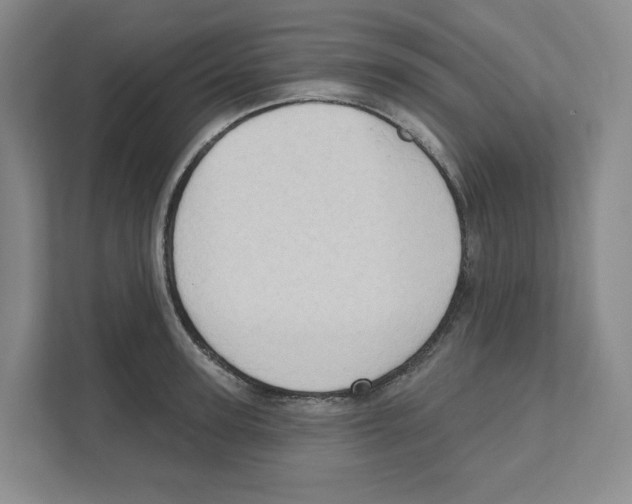 X0000111180947200907291140