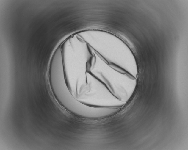 X0000111180948200907291140