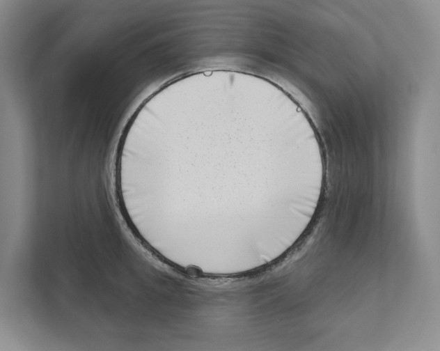 X0000111180949200907291140