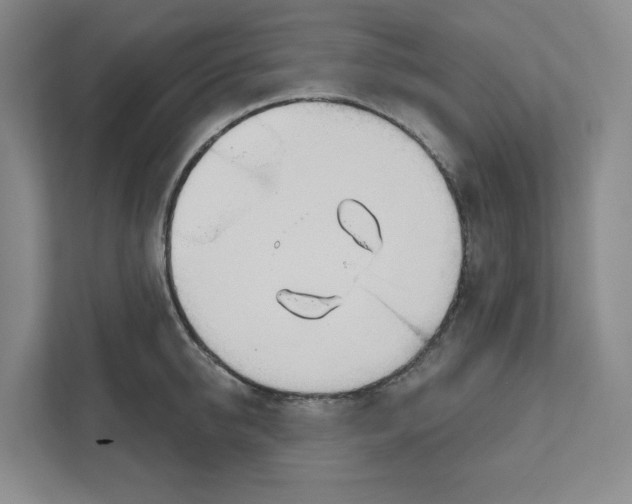 X0000111180950200907291140