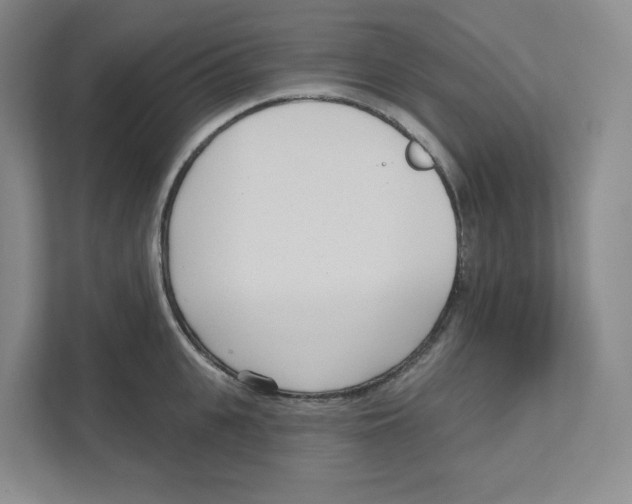 X0000111180951200907291140