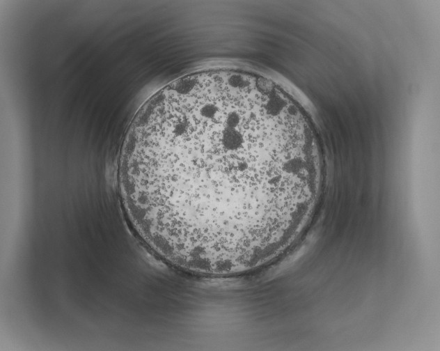 X0000111180953200907291141