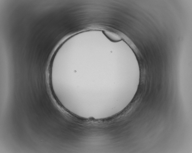 X0000111180955200907291141