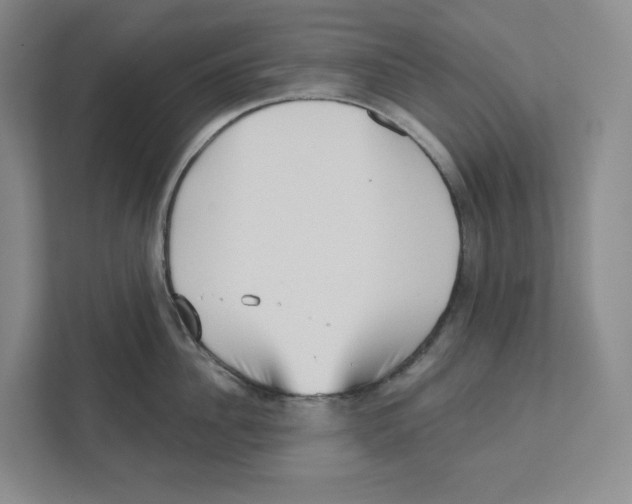 X0000111180956200907291141