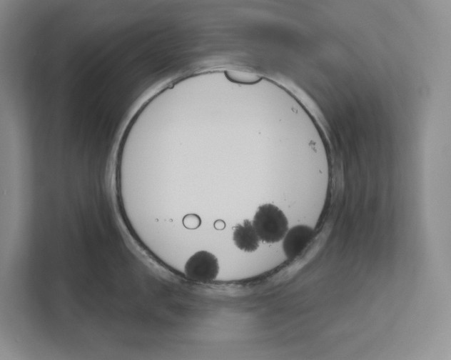 X0000111180957200907291141