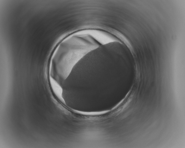 X0000111180958200907291141