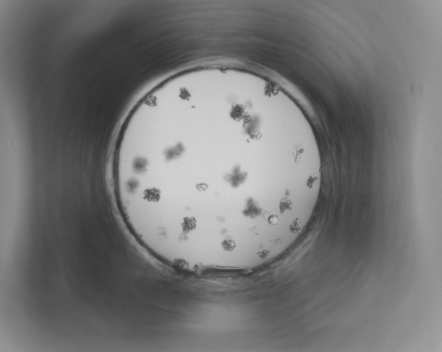 X0000111180959200907291141