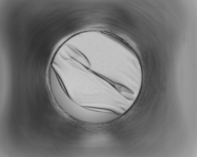 X0000111180960200907291141