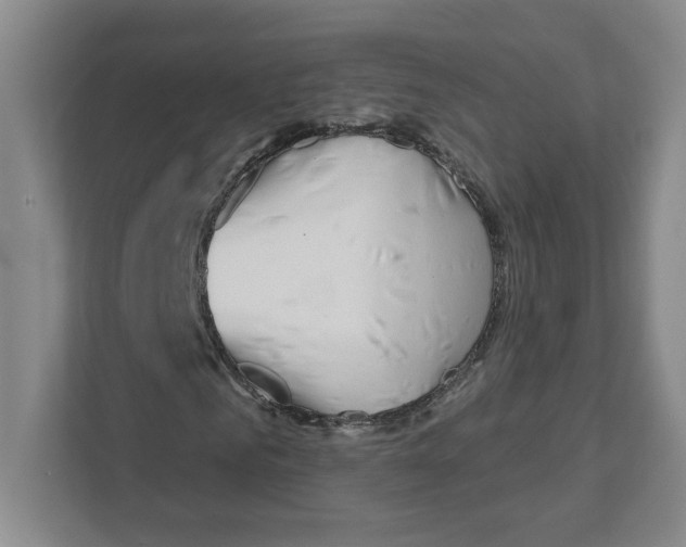 X0000111180961200907291140