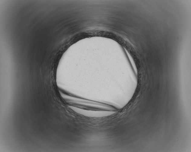 X0000111180965200907291140