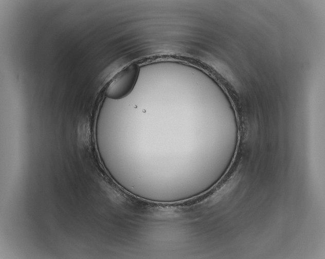 X0000111180969200907291140