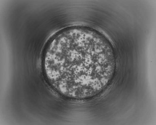 X0000111180975200907291140