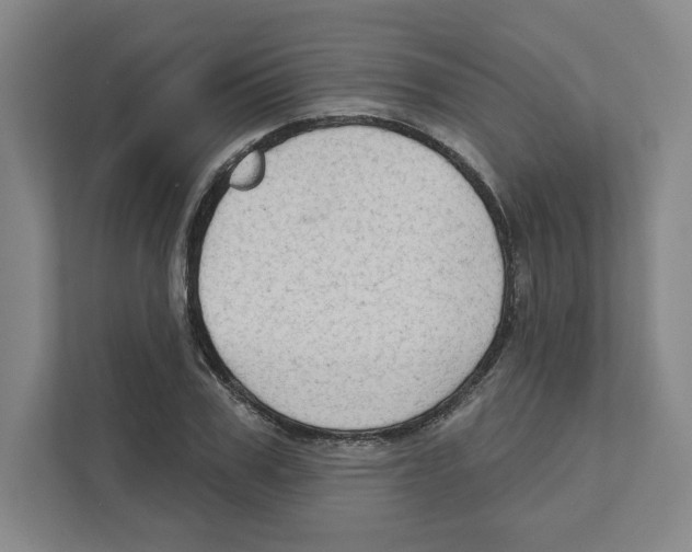 X0000111180979200907291140