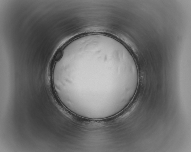 X0000111180981200907291140