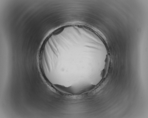 X0000111180989200907291140