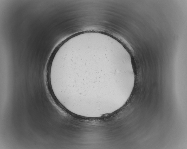 X0000111180991200907291140