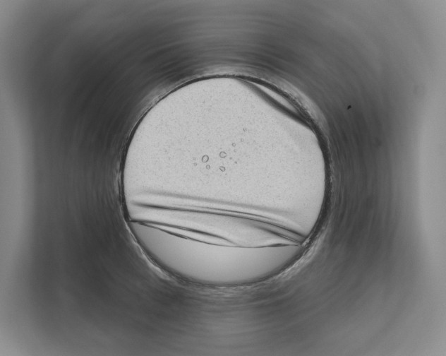 X0000111180993200907291140